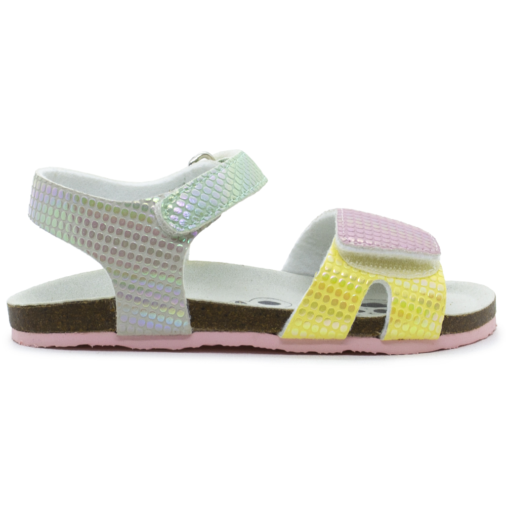Σκαφάκι Chicco Πολύχρωμο Frully 22048-970